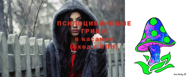 mdma Богородицк