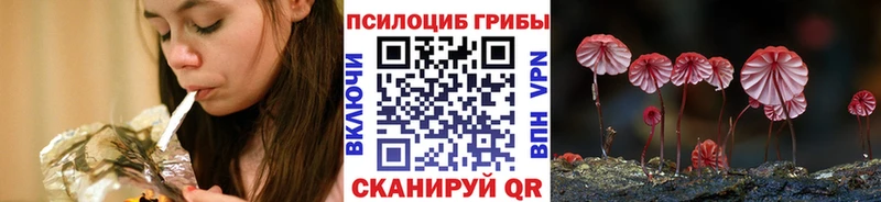Галлюциногенные грибы мицелий Купить Кудымкар